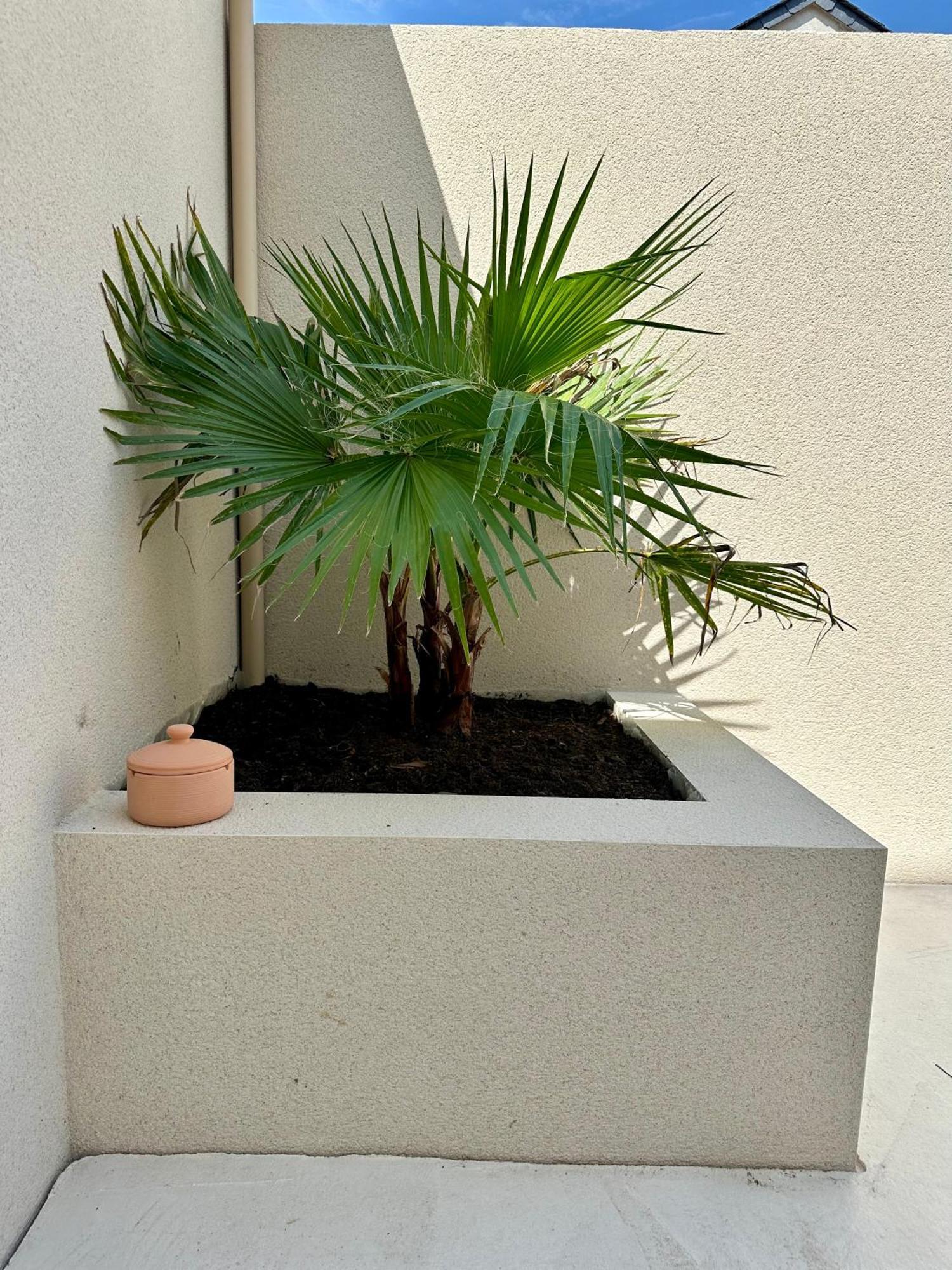 Charmante Maison Avec Terrasse Casa vacanze *